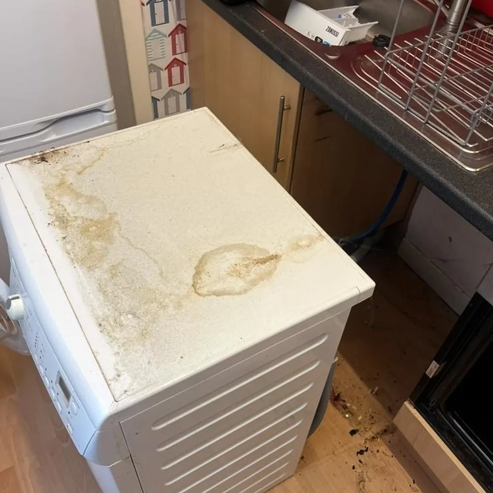 Washing machine stained with detergent residue